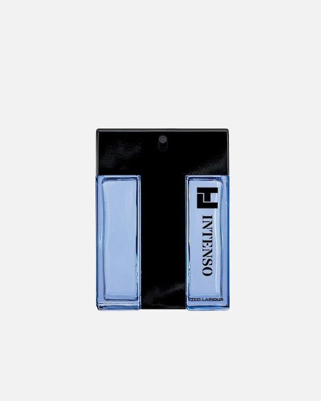 TL INTENSO  Lapidus Intenso EDT 100ml Varon